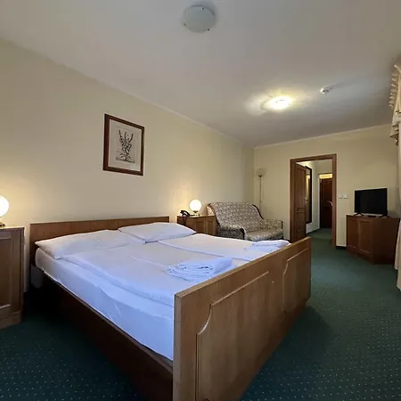 U Zamecku Cihelny Hotel 3*