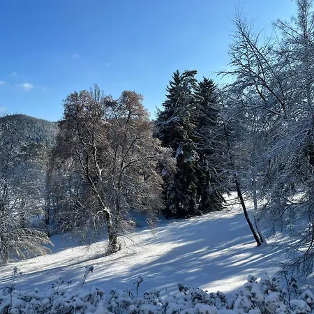 Hotel U Zamecku Cihelny 3*