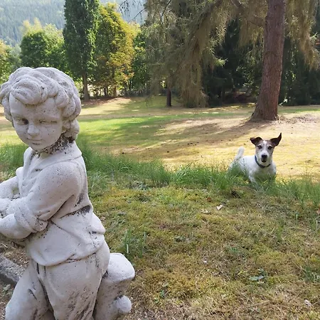 U Zamecku Cihelny 3* Karlovy Vary