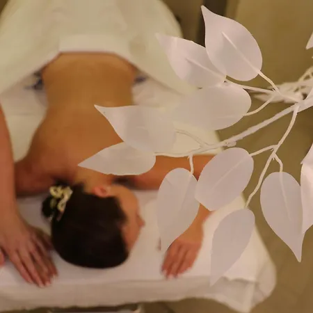 U Zamecku Cihelny Hotel 3*